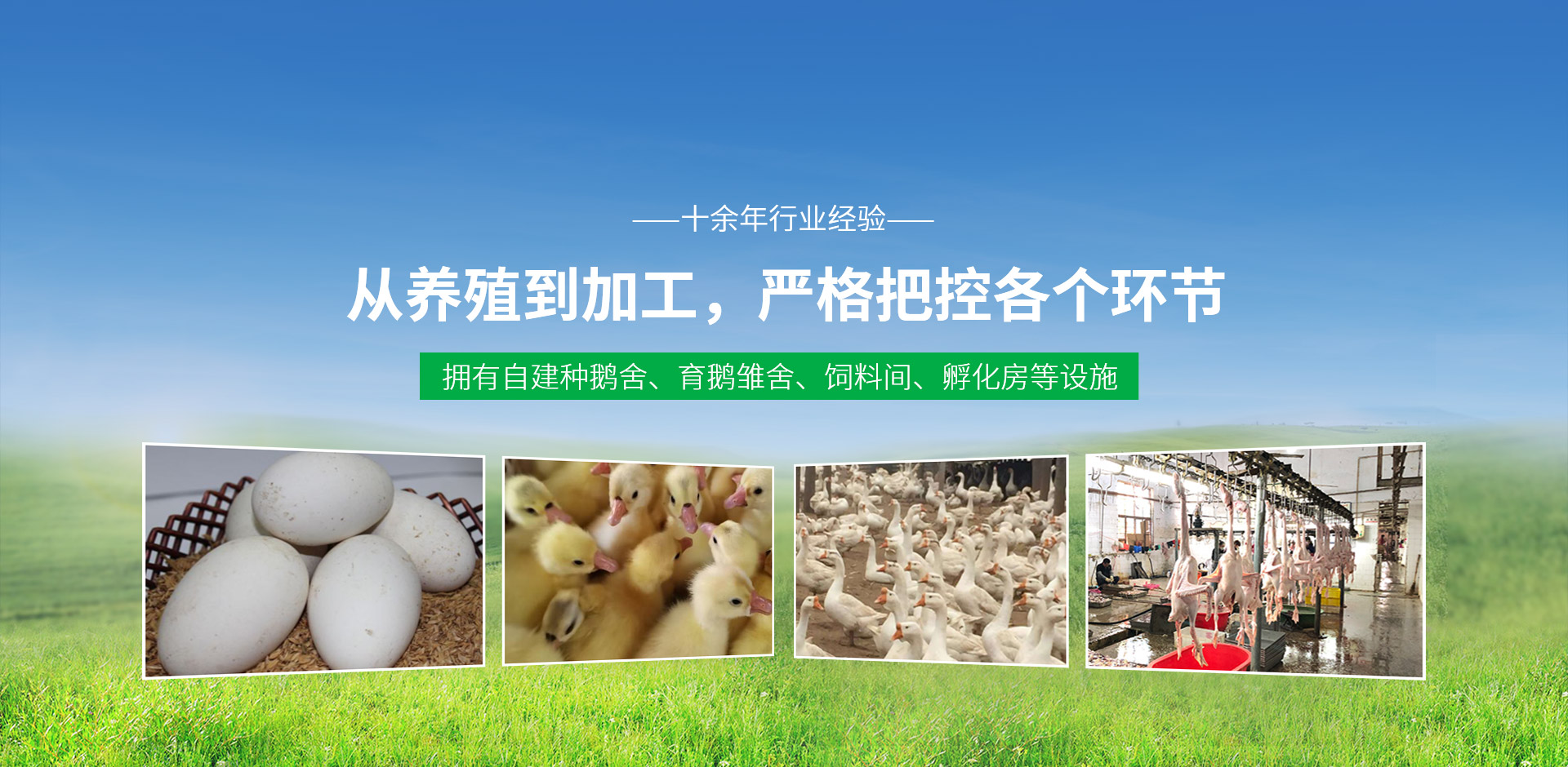 原阳县建源禽业有限公司